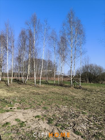 działka na sprzedaż 1850m2 działka Glinianka