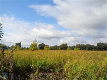 Zapraszam do zakupu działki 11 500 m² blisko natury i miasta działka Cząstków Mazowiecki