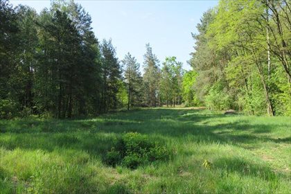 Działka rolna na sprzedaż Słupica 8 100m2 Foto 1