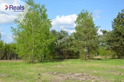 Działka budowlana na sprzedaż Kaliszki 1 290m2 Foto 5