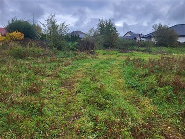 działka na sprzedaż 8534m2 działka Dobra