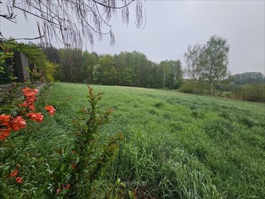 działka na sprzedaż 3002m2 działka Santocko, Jaśminowa