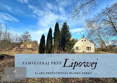 Urokliwa działka z zabudowaniami do remontu w spokojnej okolicy dom Namysłów, Biestrzykowice