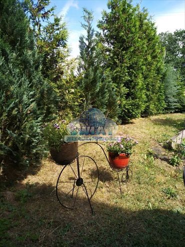 Dom na sprzedaż Bzów 100m2 Foto 4