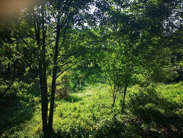 działka na sprzedaż 4600m2 działka Idzików, Idzików