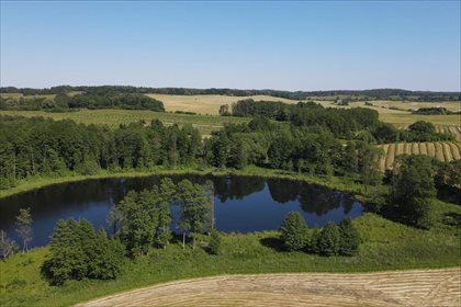 Działka rolna na sprzedaż Malinka, Wydminy 155 400m2 Foto 5