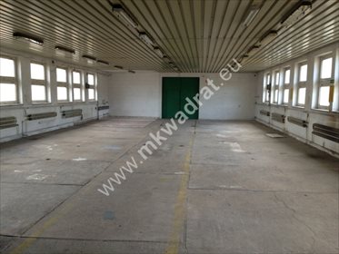 Magazyn na sprzedaż Rozalin 650m2 Foto 1