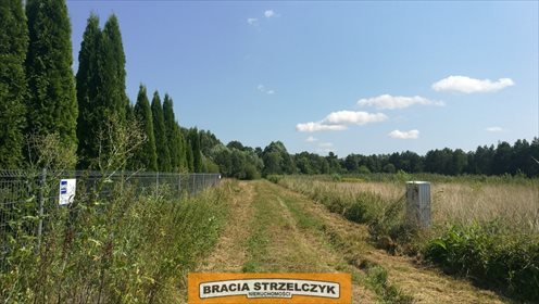 Działka rekreacyjna na sprzedaż Urle 1 500m2 Foto 2