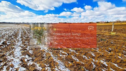 działka na sprzedaż 3500m2 działka Płouszowice-Kolonia