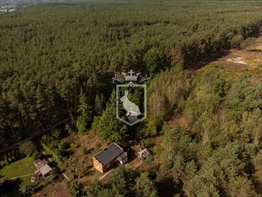 działka na sprzedaż 1361m2 działka Leśniakowizna, Szumiąca
