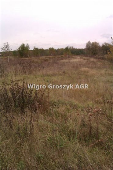 działka na sprzedaż 3596m2 działka Czeczotki