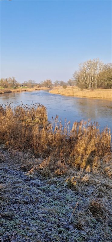 działka na sprzedaż 1600m2 działka Baranowo