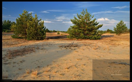 Działka 2100 m² pod dom-rekreację-inwestycję przy Kampinoskim Parku działka Famułki Brochowskie