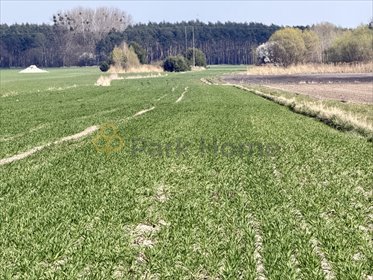 Do sprzedania działka 2,8 ha z potencjałem budowlano-usługowym działka Szymanowo, Kowalikowa