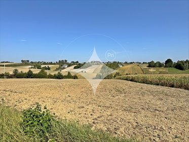 działka na sprzedaż 11290m2 działka Podlesice