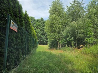 Dwie działki 1000 m² w Kampinosie (las, spokój) działka Kampinos, Kwiatkówek, Kuny