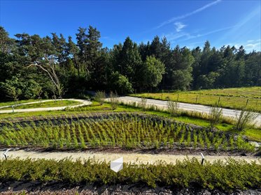 mieszkanie na sprzedaż 85m2 mieszkanie Gdynia, Chwarzno-Wiczlino, Tęczowa