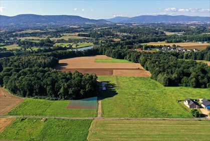 Zapraszam do zakupu działki 1114 m² w Pisarzowicach działka Pisarzowice, Bukowa