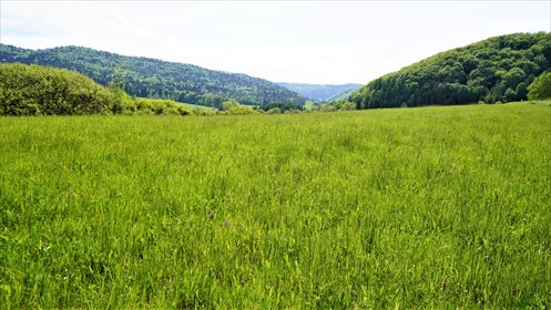 działka na sprzedaż 10060m2 działka Hańczowa