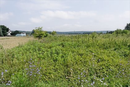 Działka rolna na sprzedaż Zakurzewo 1 249m2 Foto 1