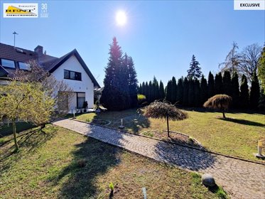 Lokal użytkowy na sprzedaż Szczecin 468m2 Foto 3