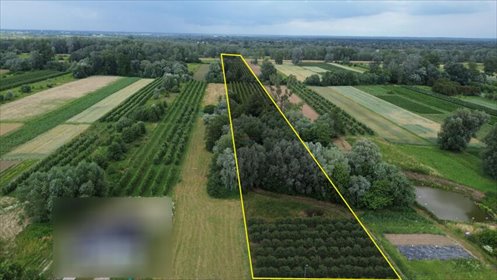 Działka 2,95ha z mediami i zabudową polecam działka Dębówka