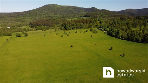 Działka przemysłowo-handlowa na sprzedaż Goszów 4 146m2 Foto 7