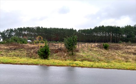 Działka 1111 m² w Stany – blisko lasu i natury działka Stany