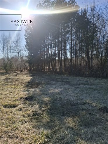 działka na sprzedaż 1200m2 działka Nowy Prażmów, Akacjowa