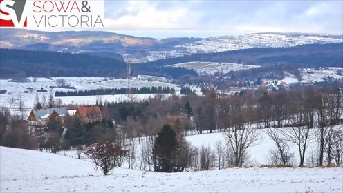 działka na sprzedaż 3009m2 działka Bartnica