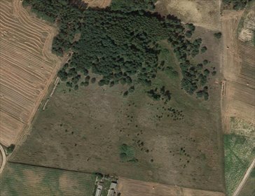 działka na sprzedaż 44500m2 działka Ludwikowo, Ludwikowo