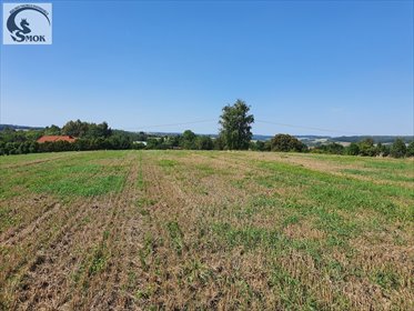 Na sprzedaż widokowa działka 900 m² w Sułkowicach działka Sułkowice
