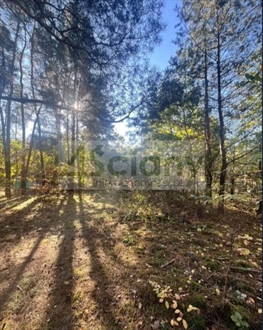 działka na sprzedaż 1500m2 działka Trzciany