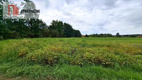 Dwie działki budowlane w Żołędowie (1161 i 1470 m²) działka Żołędowo, Polna
