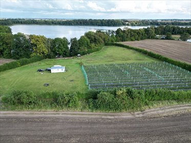 działka na sprzedaż 12500m2 działka Trzcińsko-Zdrój, Trzcińsko-Zdrój, Tchórzono  działka