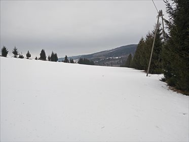 Działka rolna na sprzedaż Stary Gierałtów, Stronie Śląskie 30 300m2 Foto 3