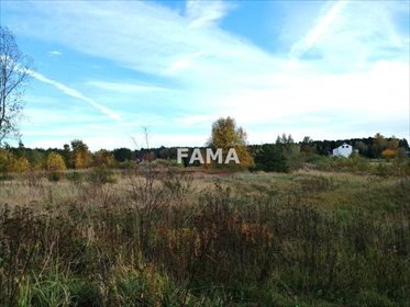 Do sprzedania działka inwestycyjna 8 539 m² w Szpetal Górny działka Szpetal Górny