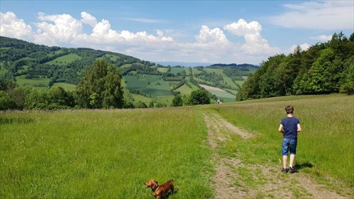 Do sprzedania wyjątkowa działka 73,46 ha z widokami i naturalnym urokiem działka Konradów