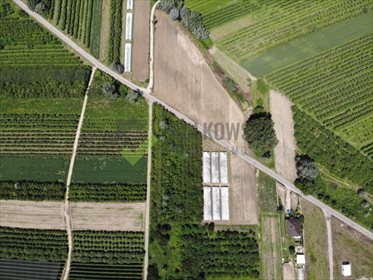 Działka inna na sprzedaż Wola Magnuszewska 5 440m2 Foto 2