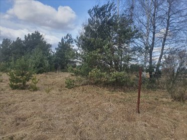 Działka 710 m² z mediami i lasem w Przymiłowicach - polecam! działka Olsztyn, Przymiłowice