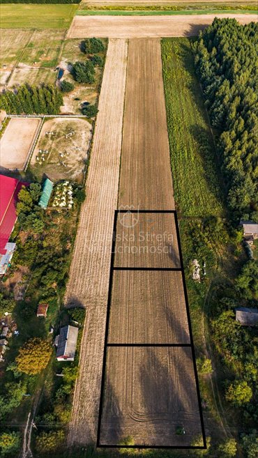 działka na sprzedaż 1100m2 działka Zawieprzyce-Kolonia