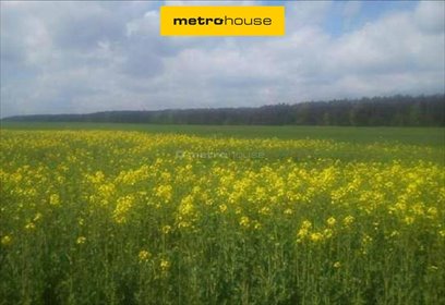 działka na sprzedaż 66500m2 działka Skrzynki