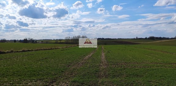 działka na sprzedaż 2600m2 działka Piotrawin