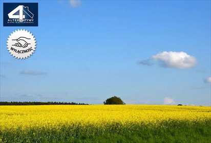 działka na sprzedaż 14300m2 działka Gołcza