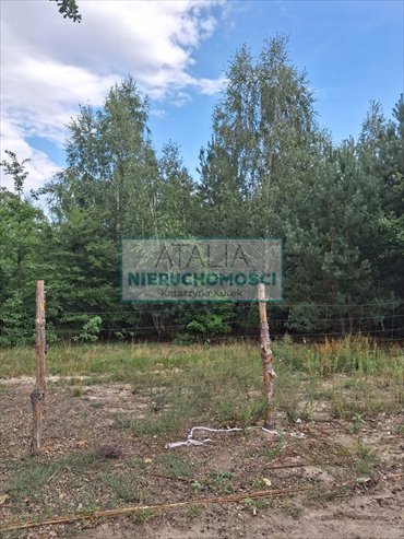 Zapraszam do sprzedaży domu 76 m² w Grodzisku Mazowieckim dom Grodzisk Mazowiecki