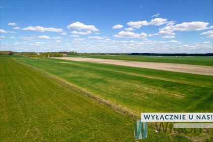 Działka rolna 5 433 m² w Tomaszówce - inwestycja i spokój. działka Tomaszówka