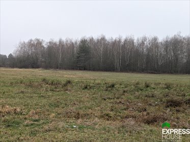 działka na sprzedaż 4900m2 działka Żabia Wola