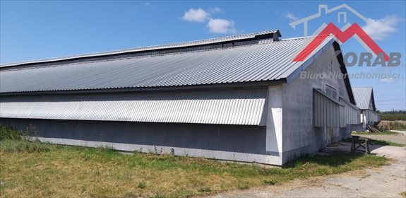 Magazyn na sprzedaż Samborowo 7 900m2 Foto 4