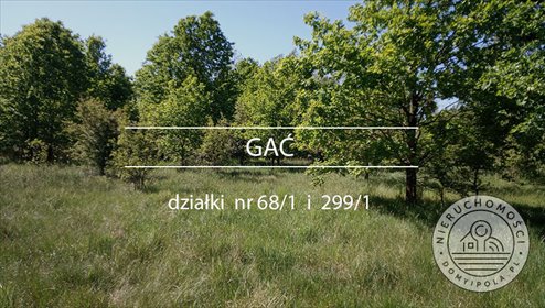 Urokliwe działki leśne i łąka w Gaći - 10 300 m². działka Gać