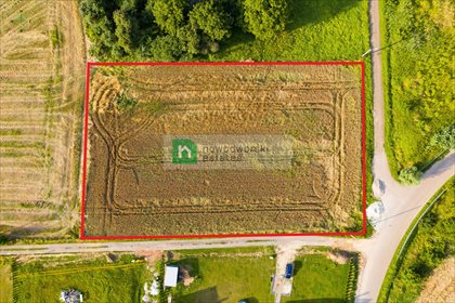 Działka komercyjna na sprzedaż Łysokanie 4 000m2 Foto 5